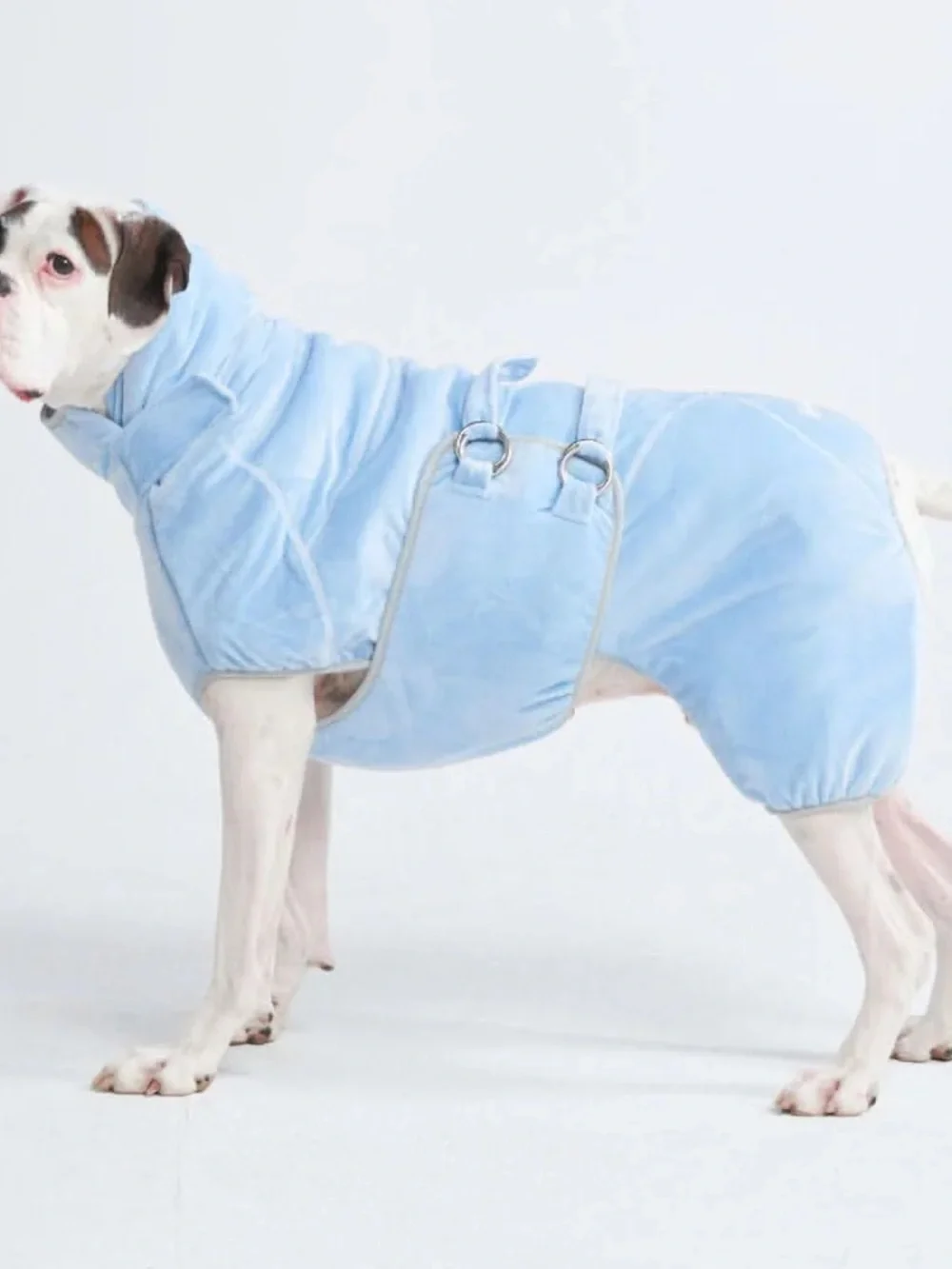 BRAND NEW ✨SPARK PAWS✨ 10 Minute Dry Dog Bathrobe
